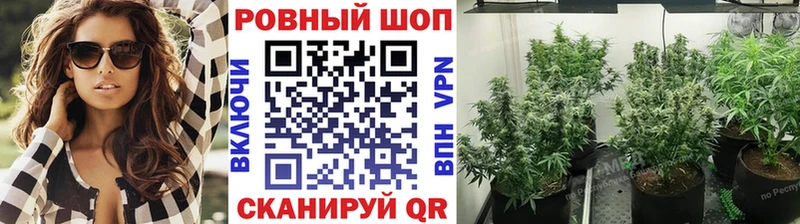 Купить закладку COCAIN  A-PVP  МЕТАДОН  МЕФ  МАРИХУАНА  Темников
