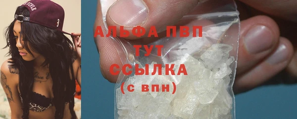 PSILOCYBIN Беломорск