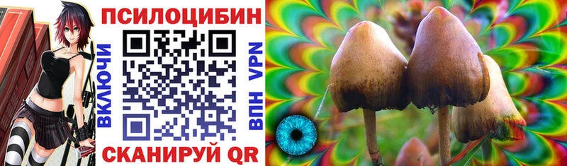 Купить где  Темников  Псилоцибиновые грибы ЛСД 